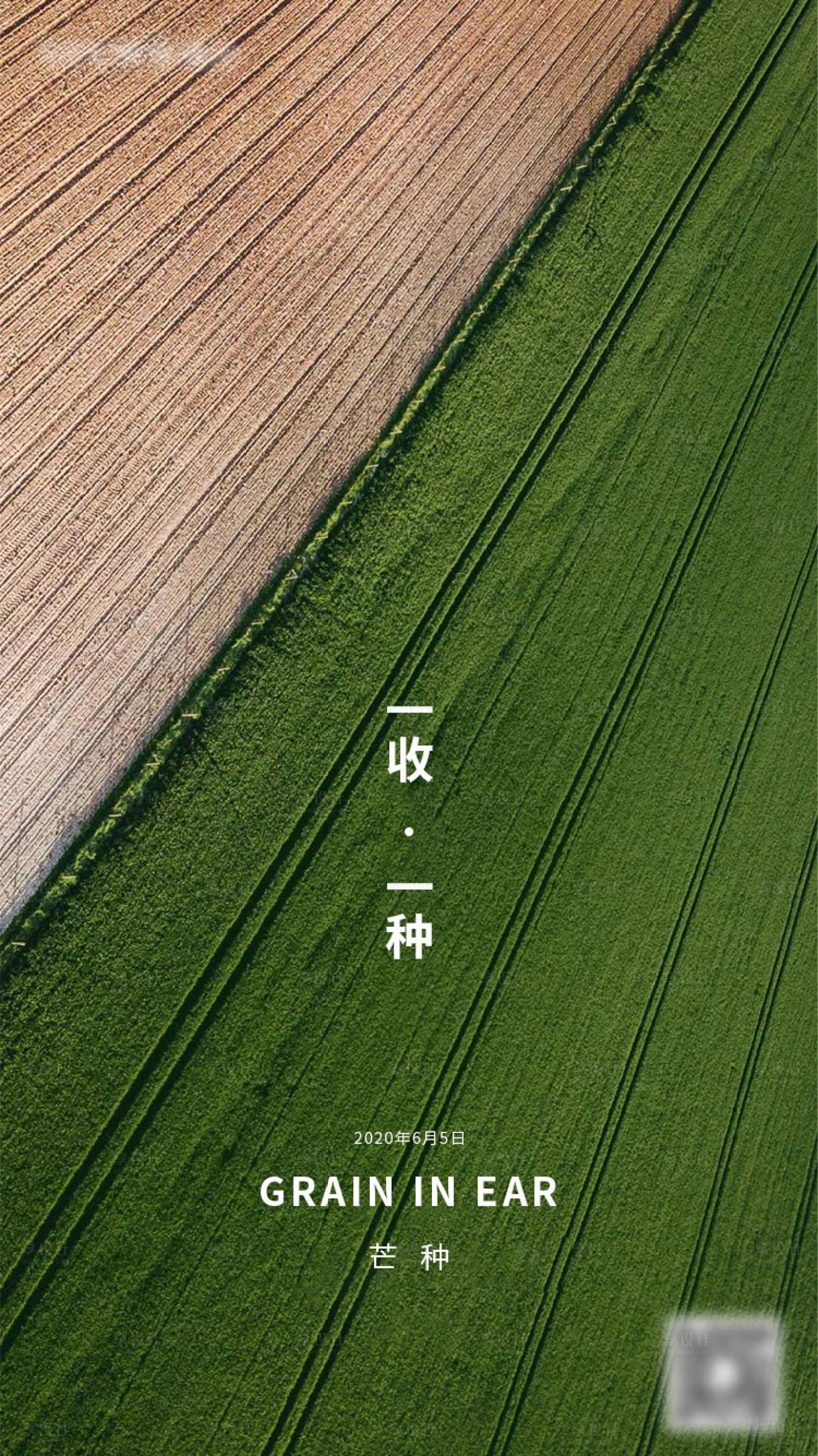 源文件下載【享設計】搜索編號：89040001040106763【芒種節氣移動端海報】