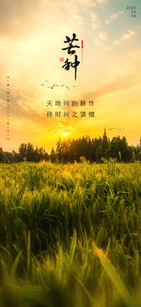 源文件下载【芒种节气海报】编号：85850001042705559