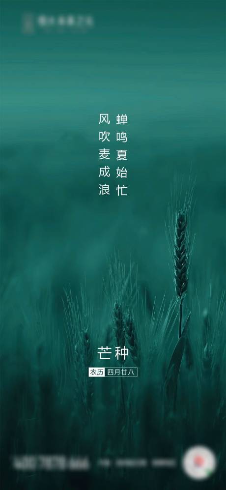 源文件下载【地产芒种节气清新海报】编号：61070001048978641