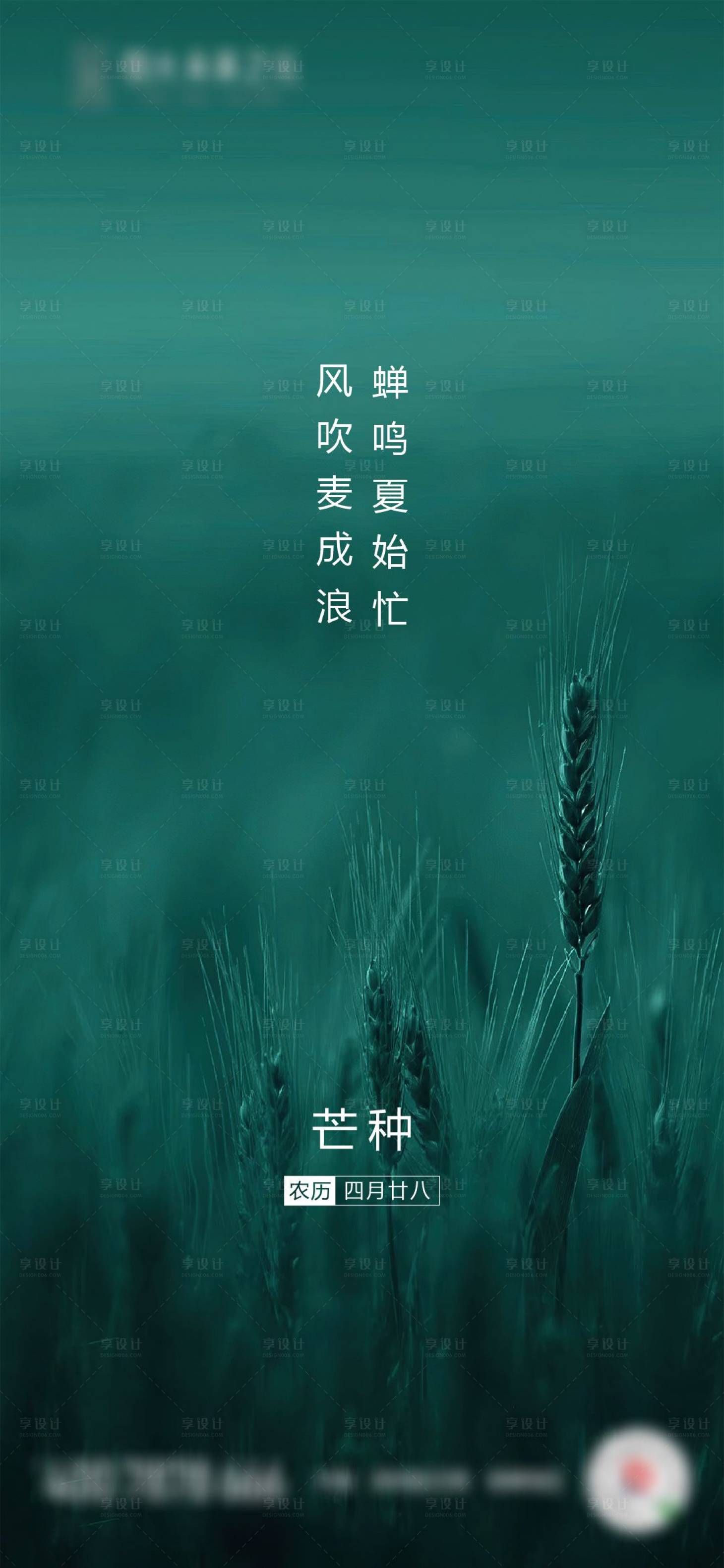 源文件下载【地产芒种节气清新海报】编号：61070001048978641