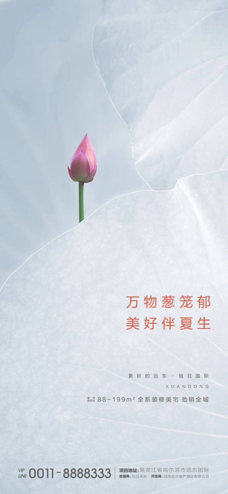源文件下载【夏至海报】编号：52600001138117281