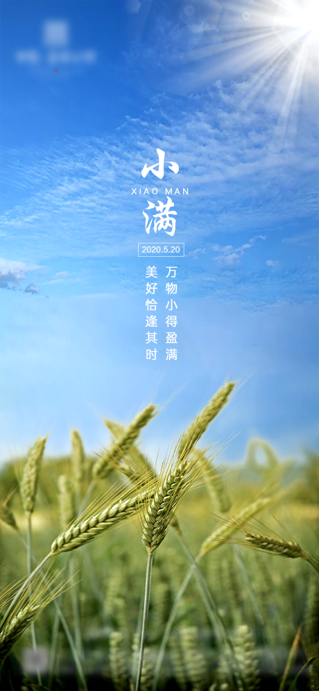 源文件下载【小满海报】编号：80100001037442994