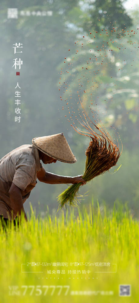 源文件下载【房地产芒种节气海报】编号：74050001054835809