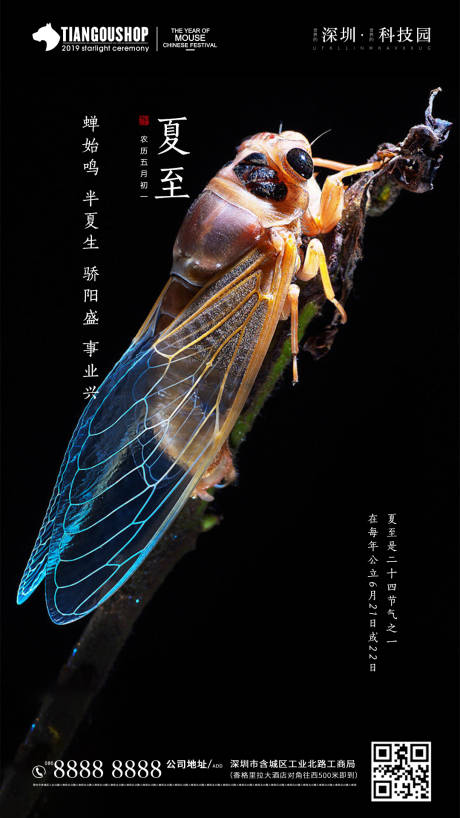 源文件下载【二十四节气夏至海报】编号：65160001122263793