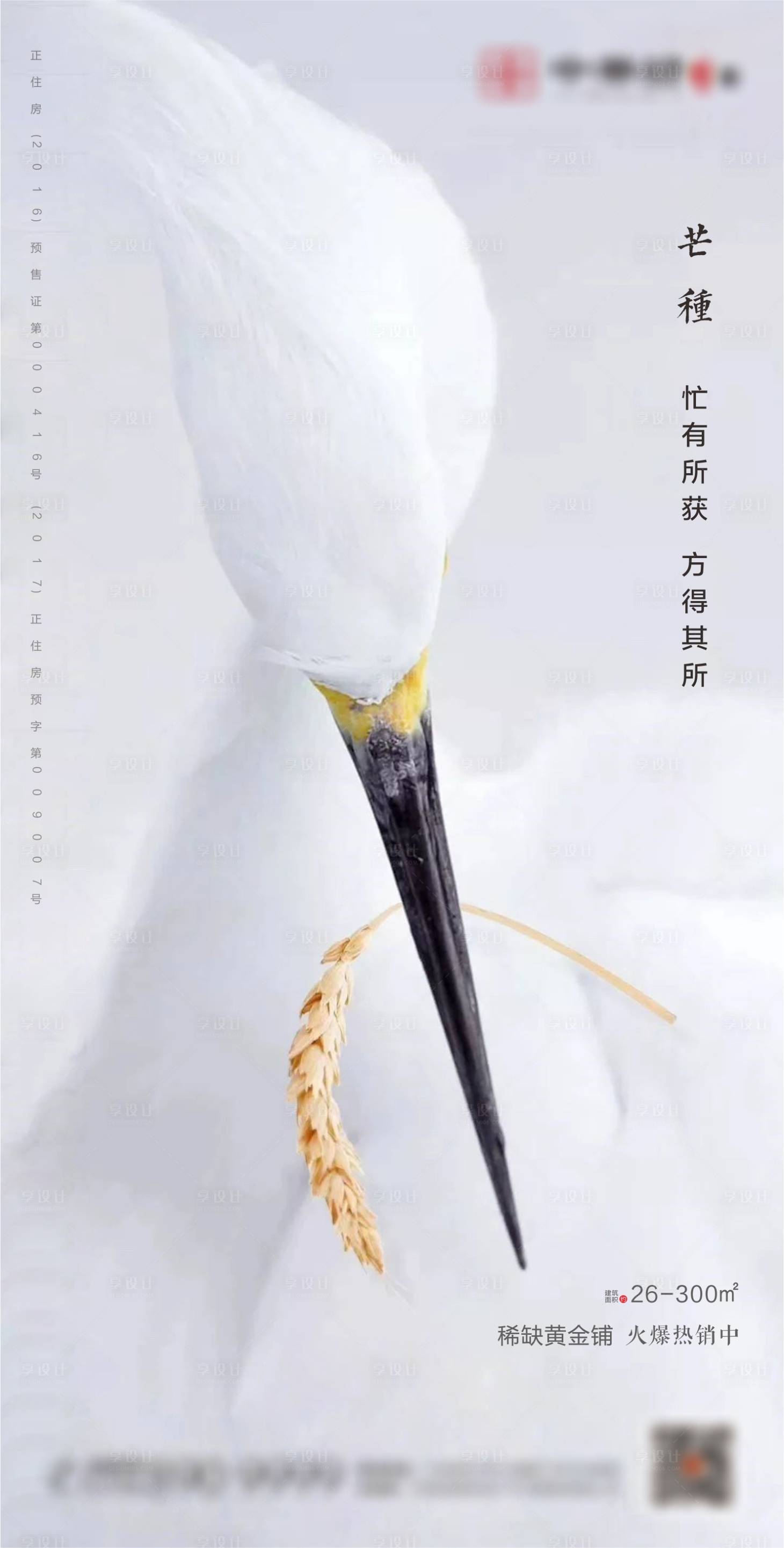 源文件下載【享設計】搜索編號：13000001220466018【地產芒種節氣海報】