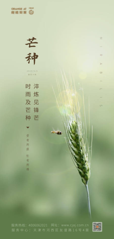源文件下载【芒种节气移动端海报】编号：49220001034269282
