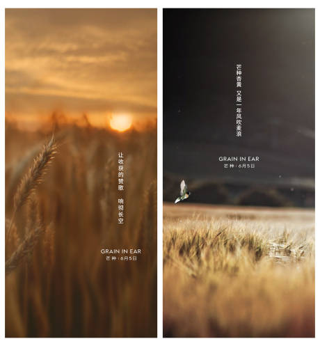 源文件下载【享设计】搜索编号：39600001069404867【芒种节气系列稿】