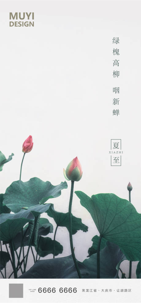 源文件下载【夏至节气海报】编号：12710001079631671