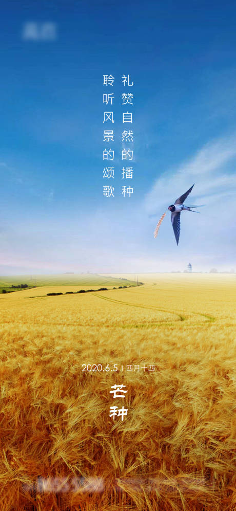 源文件下载【芒种节气移动端海报】编号：54080001051611077