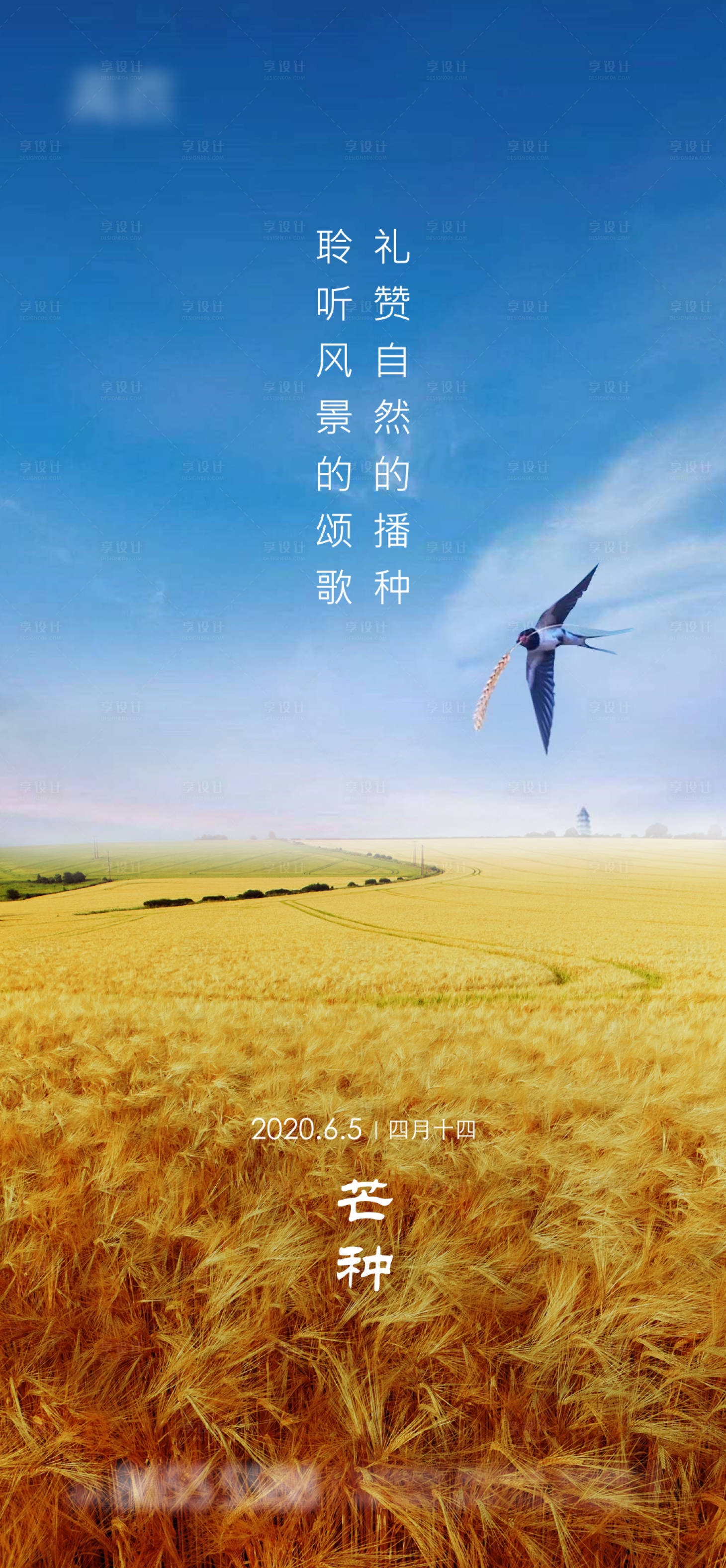 源文件下载【享设计】搜索编号：54080001051611077【芒种节气移动端海报】