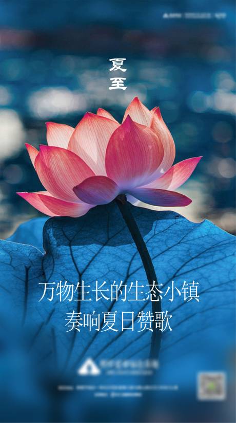 源文件下載【夏至節氣移動端海報】編號：40210001097716637