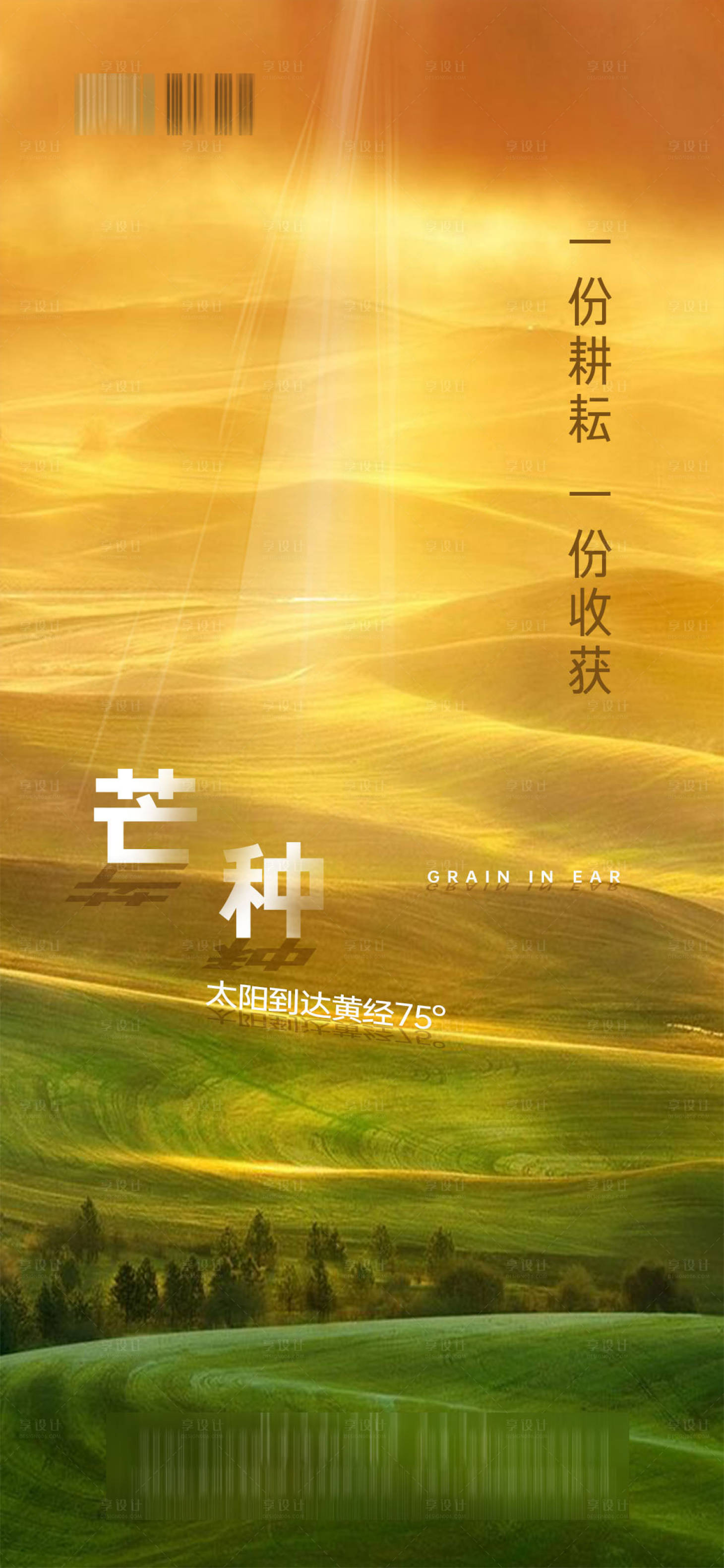 源文件下载【享设计】搜索编号：82610001037351984【地产芒种节气海报】