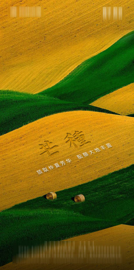 源文件下载【享设计】搜索编号：16900001037371426【地产芒种节气海报】