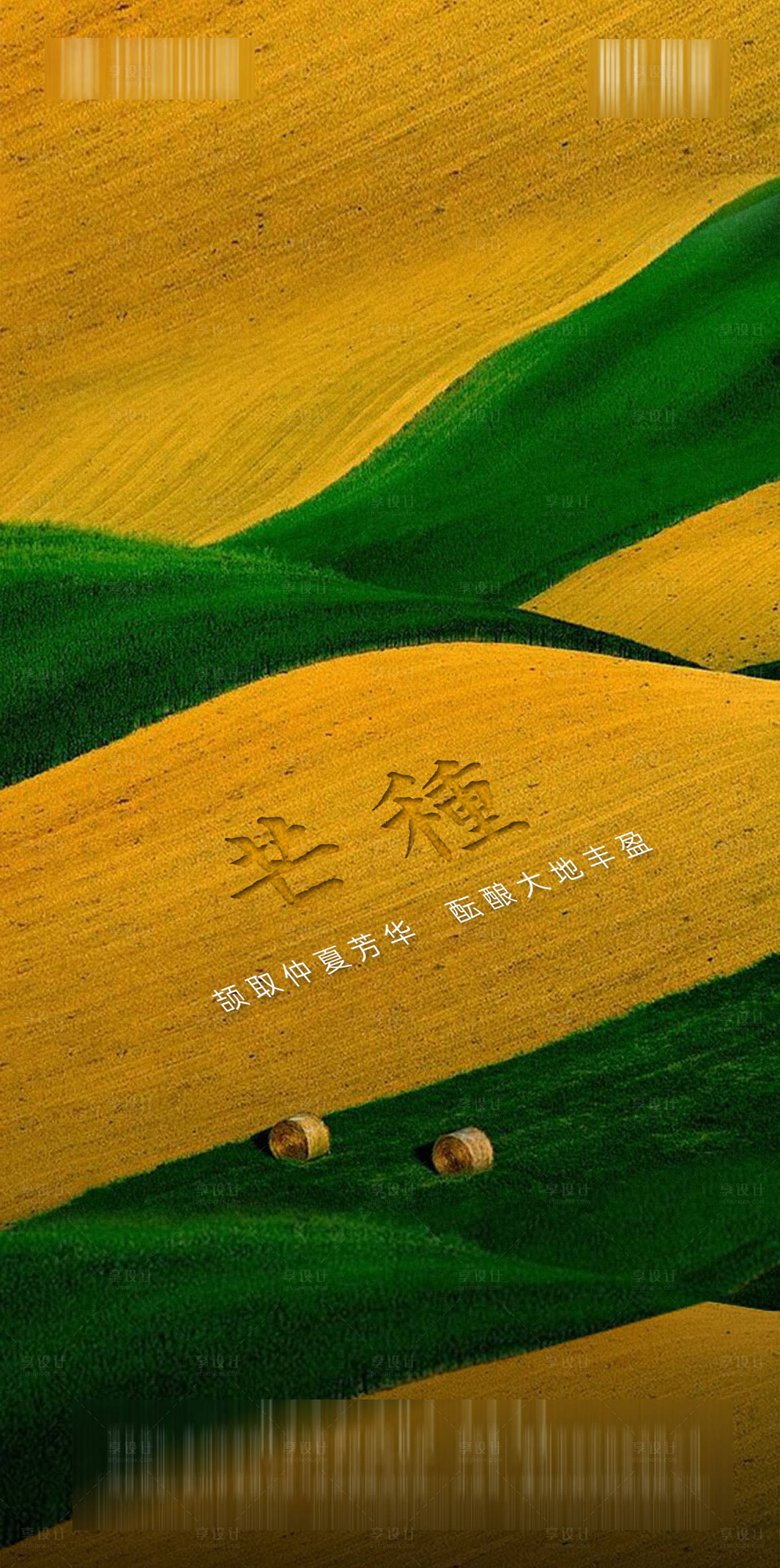 源文件下載【享設計】搜索編號：16900001037371426【地產芒種節氣海報】