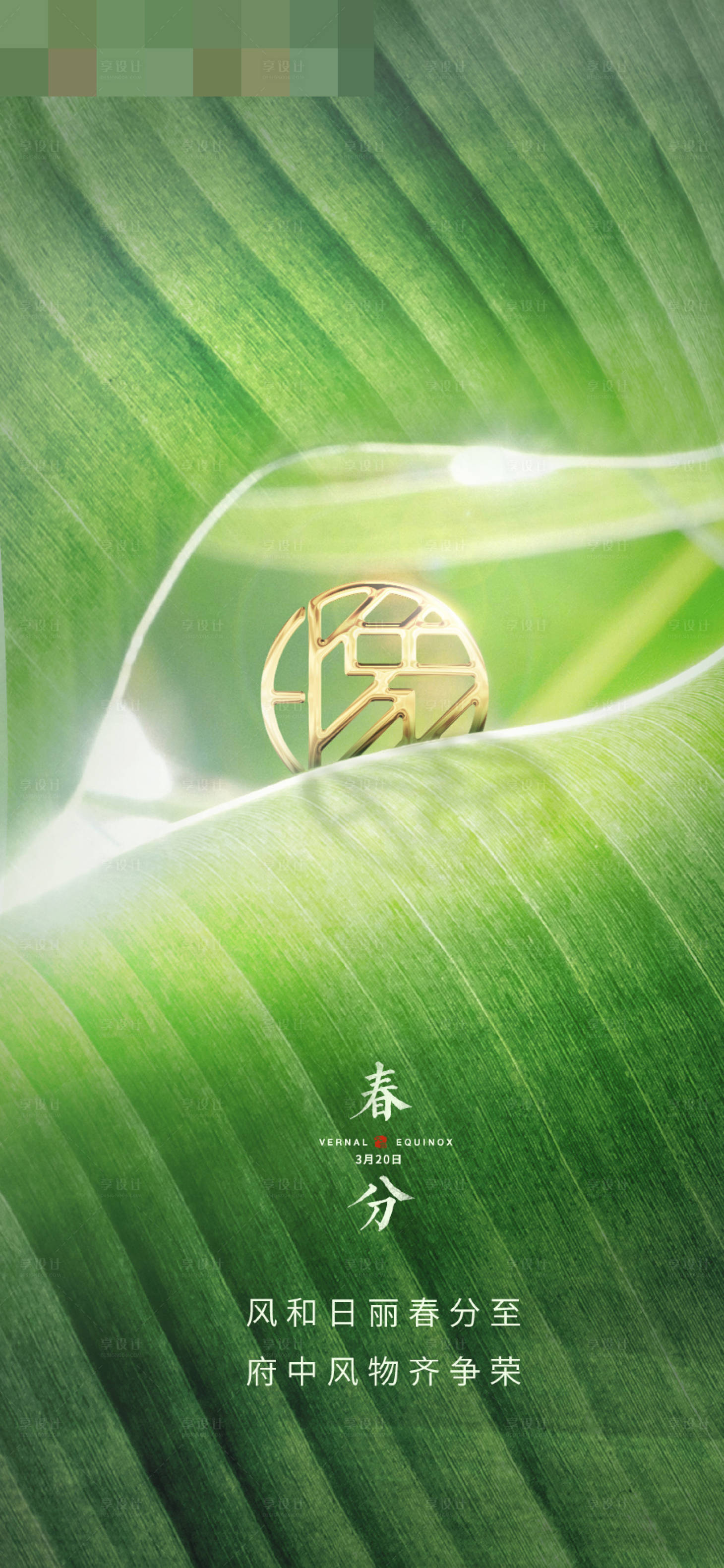 源文件下载【享设计】搜索编号：91100001092341556【春分节气移动端海报】