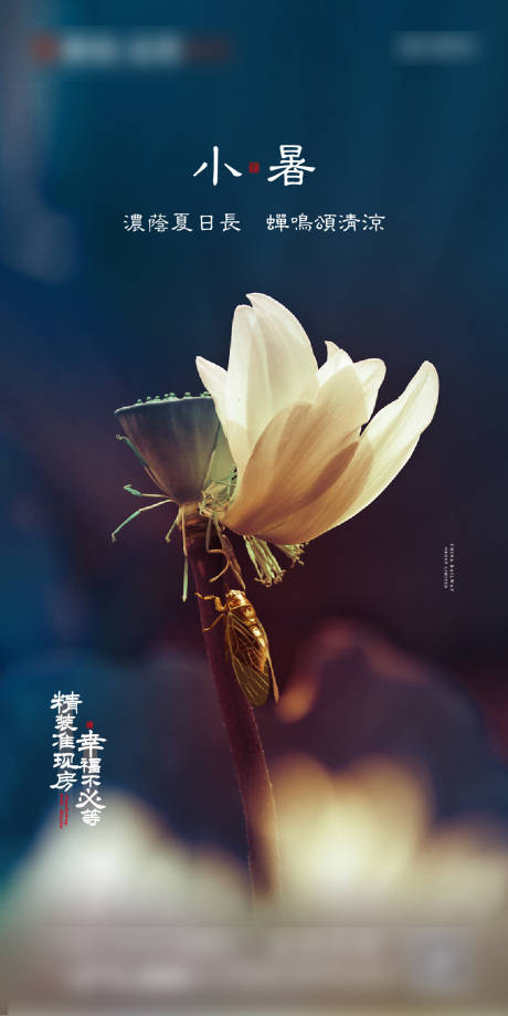 源文件下载【地产小暑节气海报】编号：96320001145479601