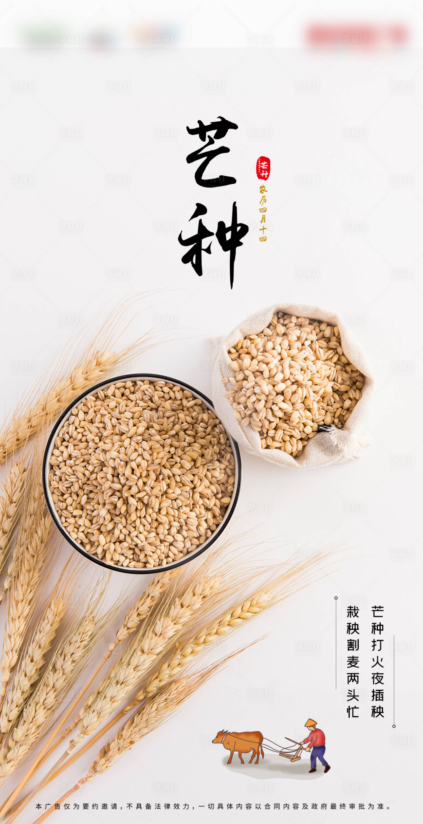 源文件下載【享設計】搜索編號：23020001032371842【簡約芒種節氣海報】