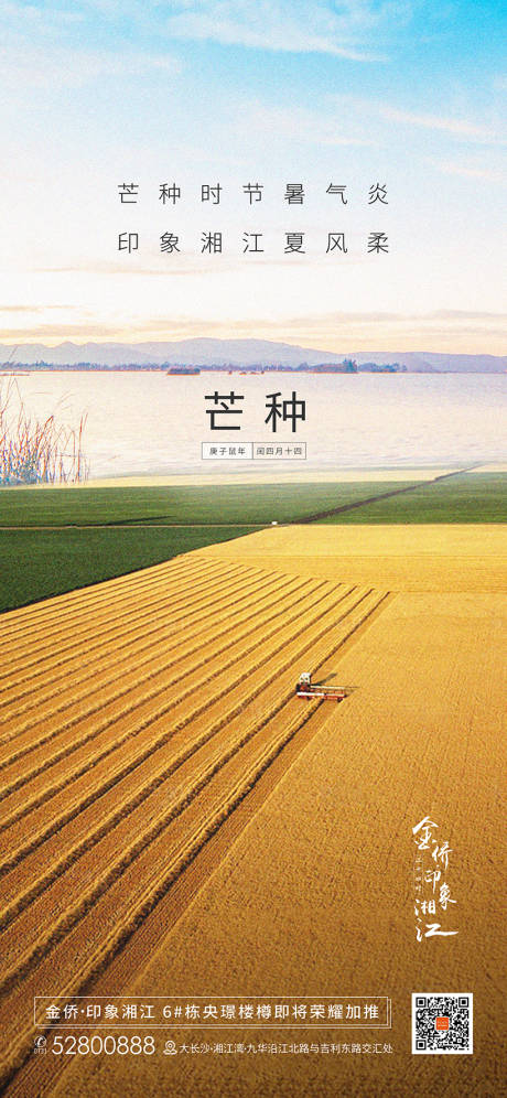 源文件下载【芒种节气海报】编号：41290001097205200