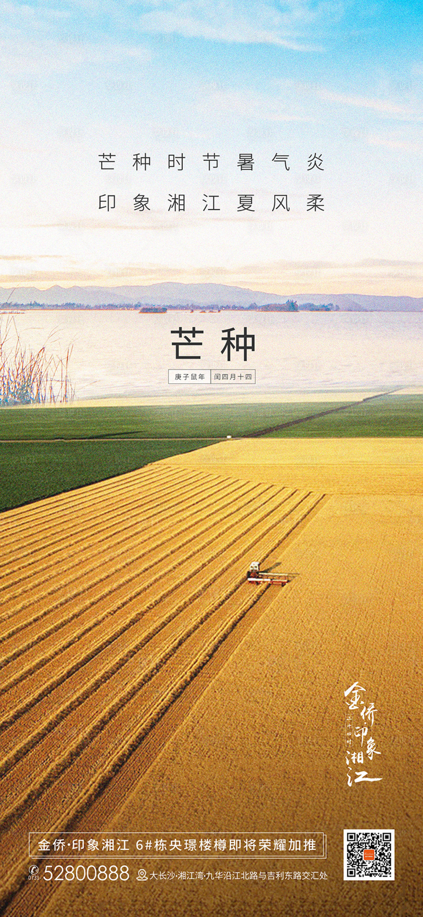 源文件下载【芒种节气海报】编号：41290001097205200