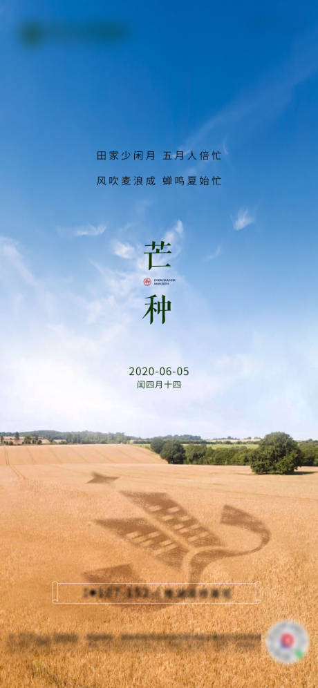 源文件下载【享设计】搜索编号：67400001036548159【芒种节气移动端微信海报】