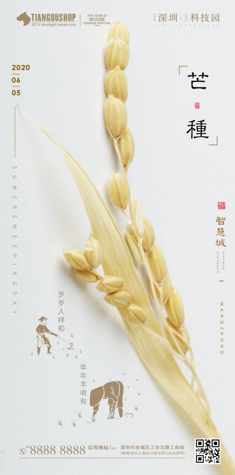 源文件下载【房地产二十四节气芒种】编号：93550001041776088