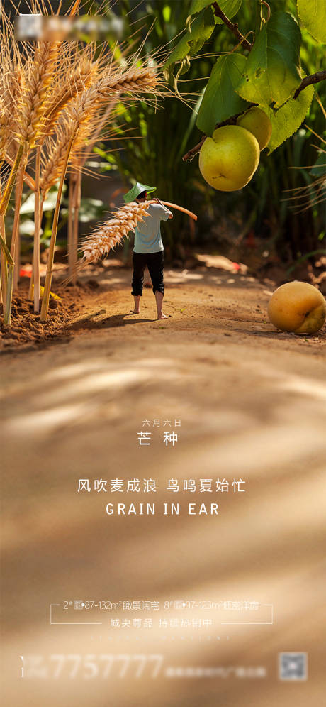 源文件下載【享設(shè)計(jì)】搜索編號(hào)：63100001055349816【房地產(chǎn)芒種節(jié)氣海報(bào)】