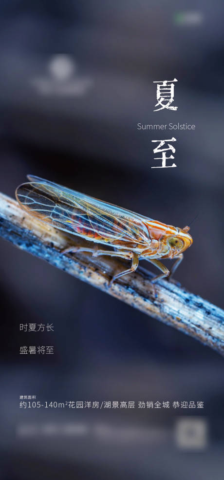 源文件下載【夏至微信】編號：87120001163331348