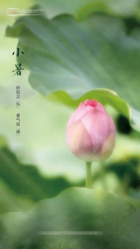源文件下载【享设计】搜索编号：17670001030827004【地产小暑节气海报】