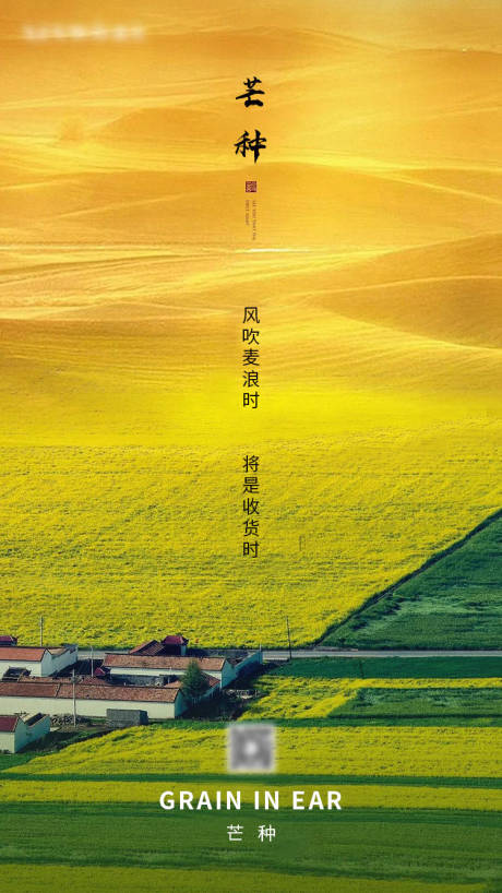 源文件下载【芒种地产微信移动端海报】编号：48160001040112554