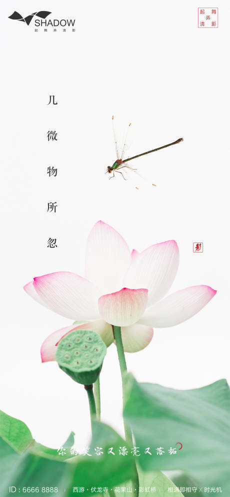 源文件下載【夏至小清新海報(bào)】編號(hào)：69270001066113985
