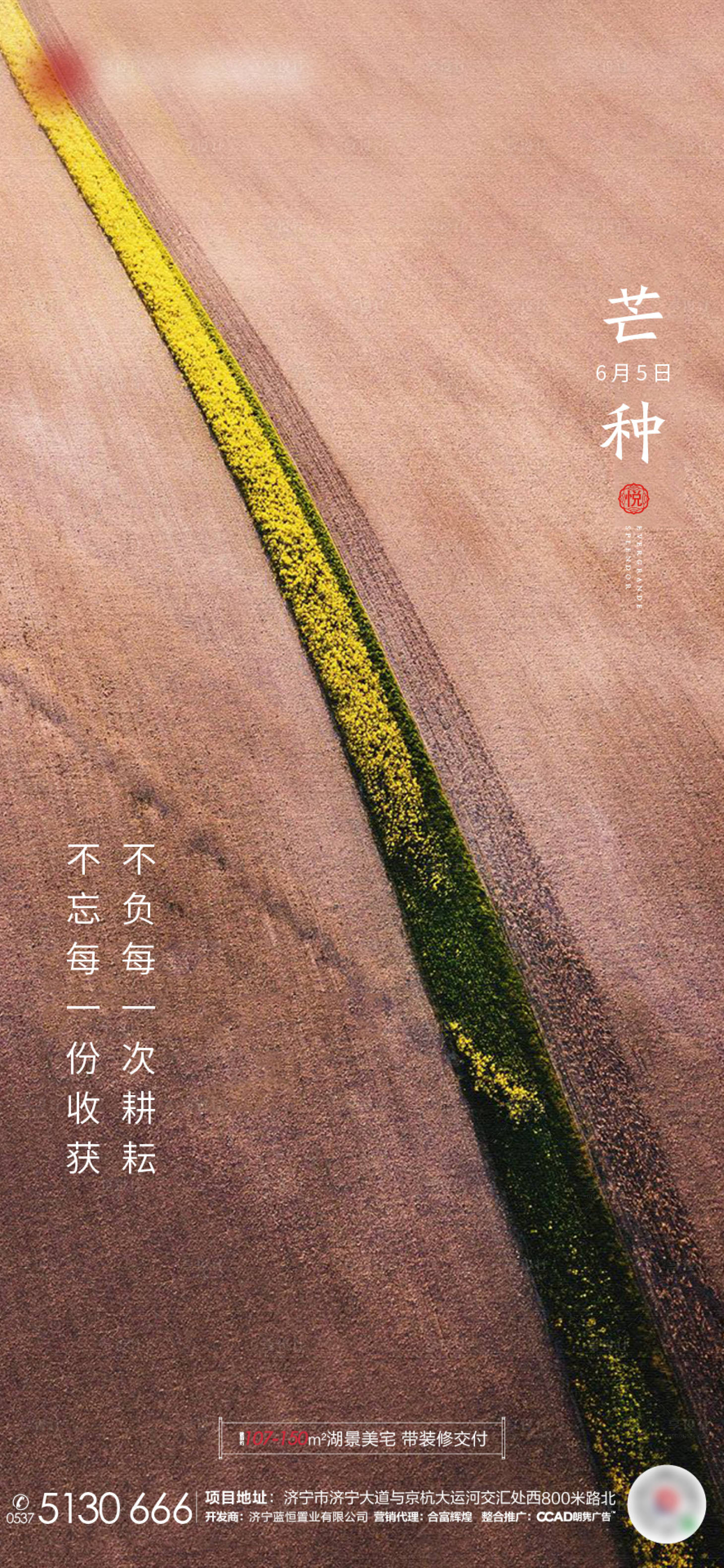 源文件下载【芒种节气移动端海报】编号：45070001066285117