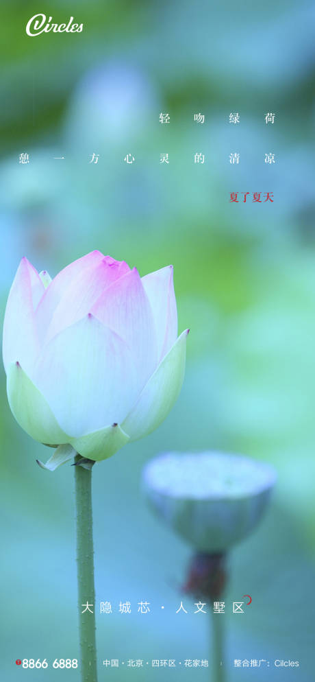 源文件下载【享设计】搜索编号：38260001078027071【夏至清新荷花海报】