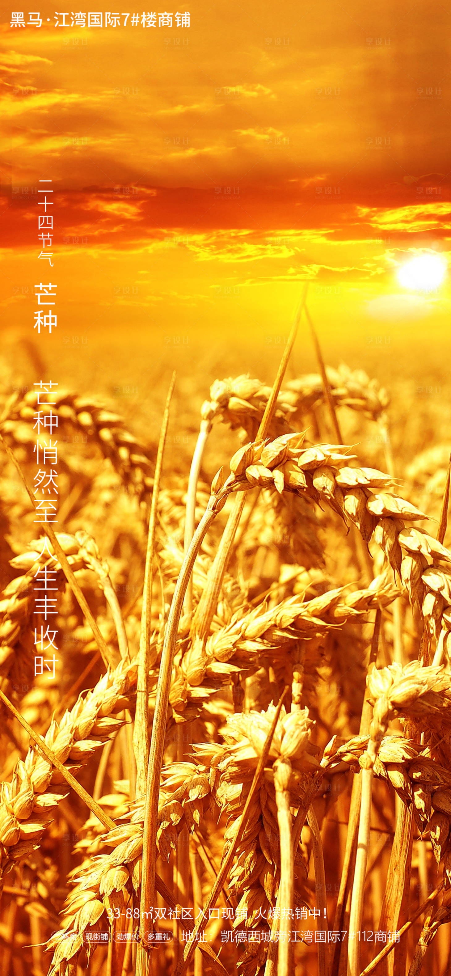 源文件下载【享设计】搜索编号：49910001059736177【芒种节气移动端海报】