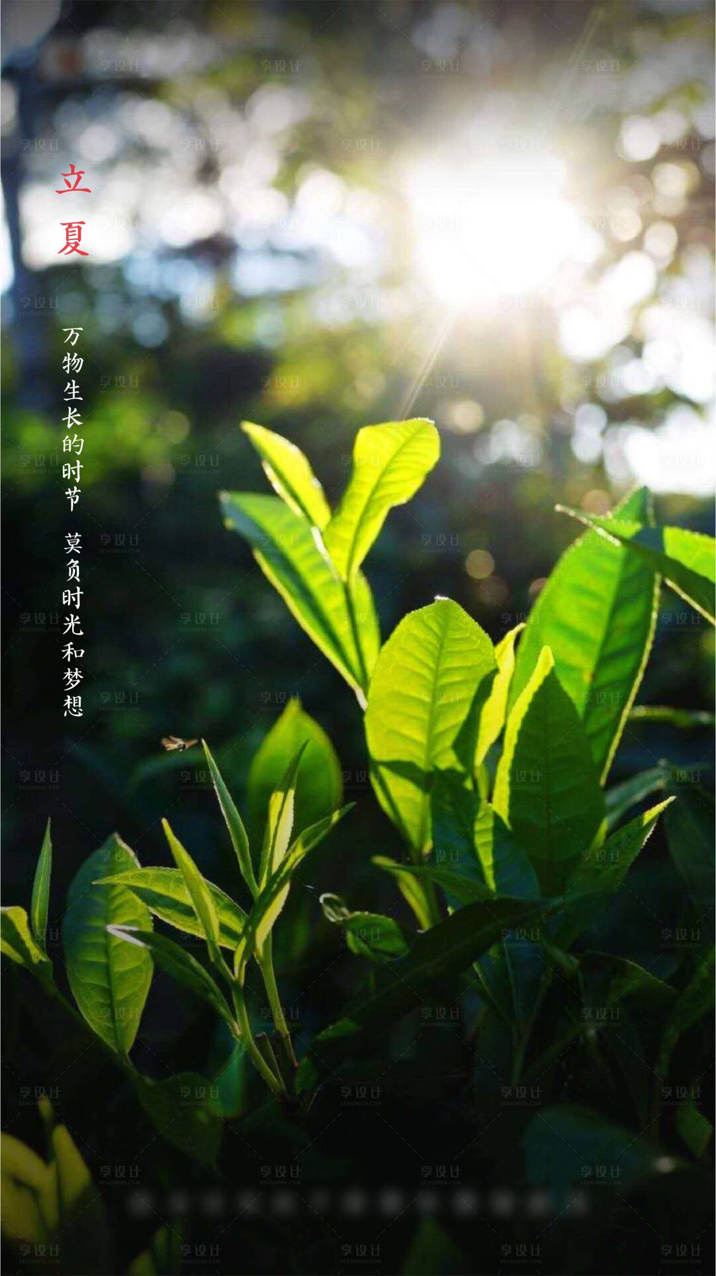 源文件下載【享設(shè)計】搜索編號：91160001219824455【立夏節(jié)氣海報】