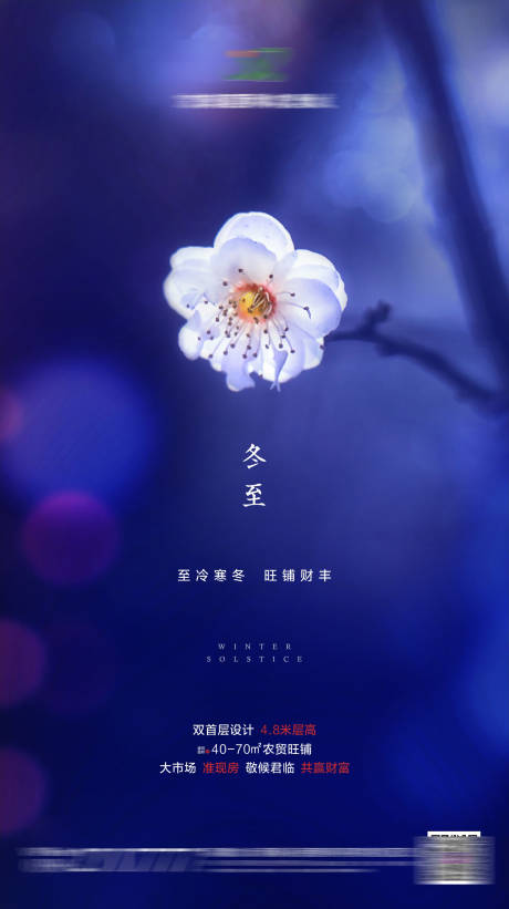 源文件下載【房地產(chǎn)冬至節(jié)氣海報(bào)】編號(hào)：15420001053576202