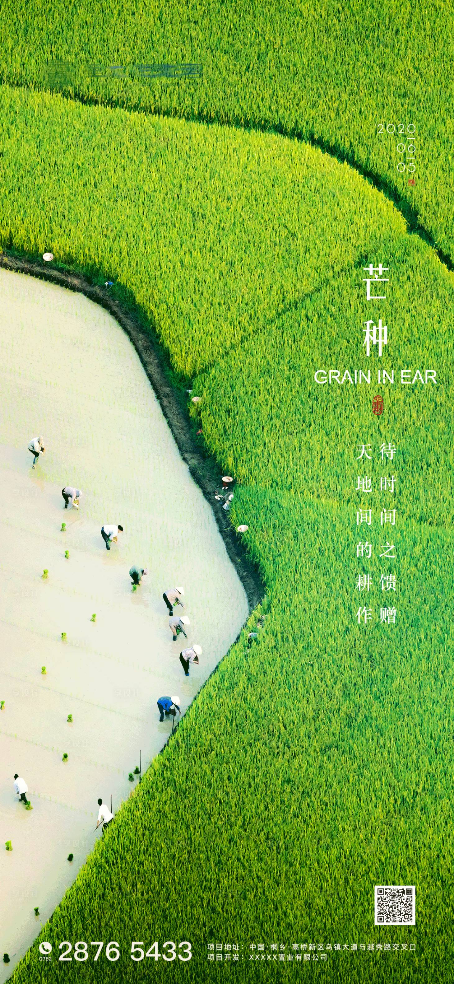 源文件下载【享设计】搜索编号：82560001042813856【芒种节气海报】