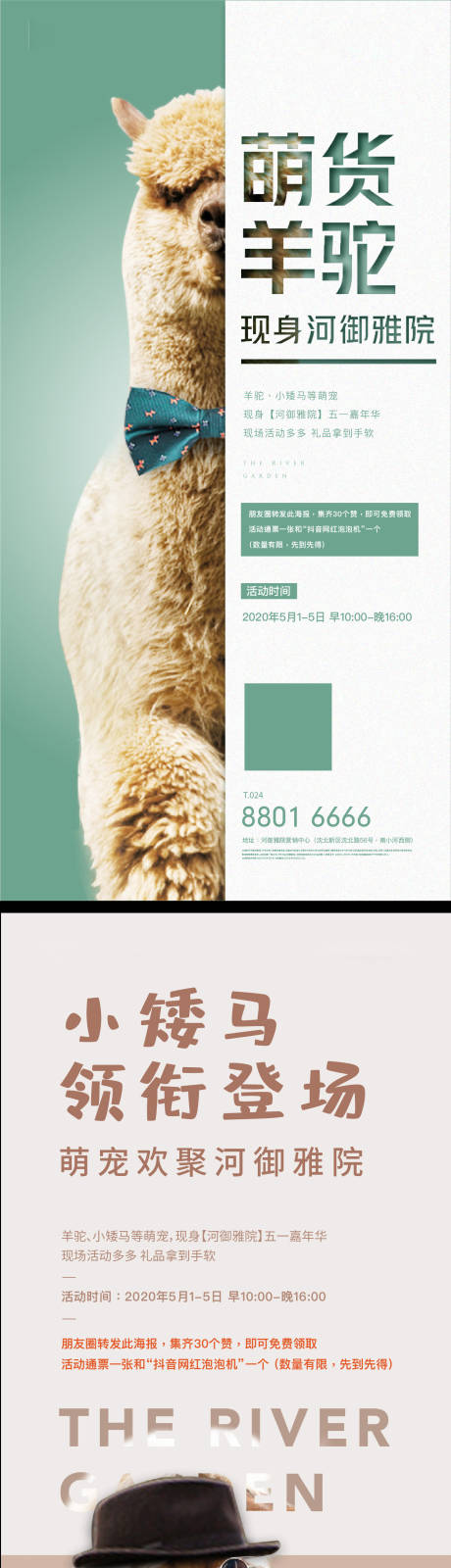 源文件下載【享設(shè)計(jì)】搜索編號(hào)：88440001195195676【積贊有禮系列寵物活動(dòng)海報(bào)】