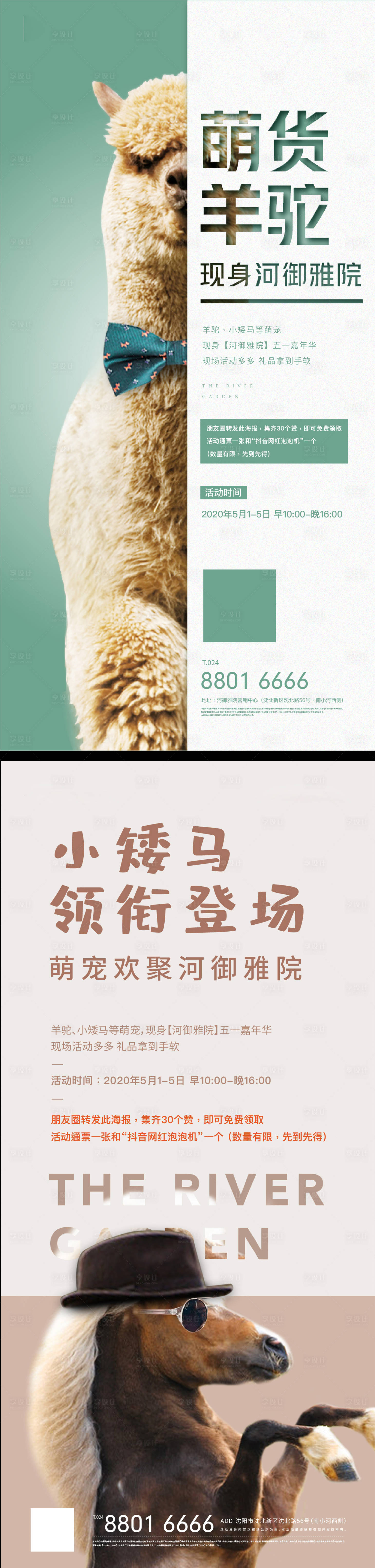 源文件下载【积赞有礼系列宠物活动海报】编号：88440001195195676