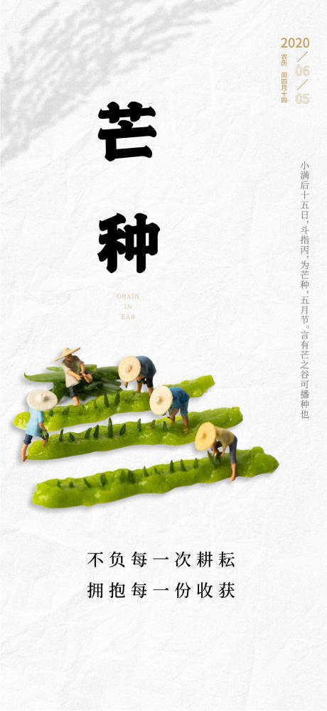 源文件下载【芒种节日节气海报】编号：42520001062763218