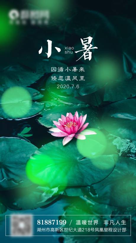 源文件下载【小暑节气移动端海报】编号：60970001268465279