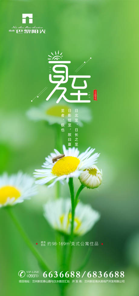 夏至节气清新海报-源文件