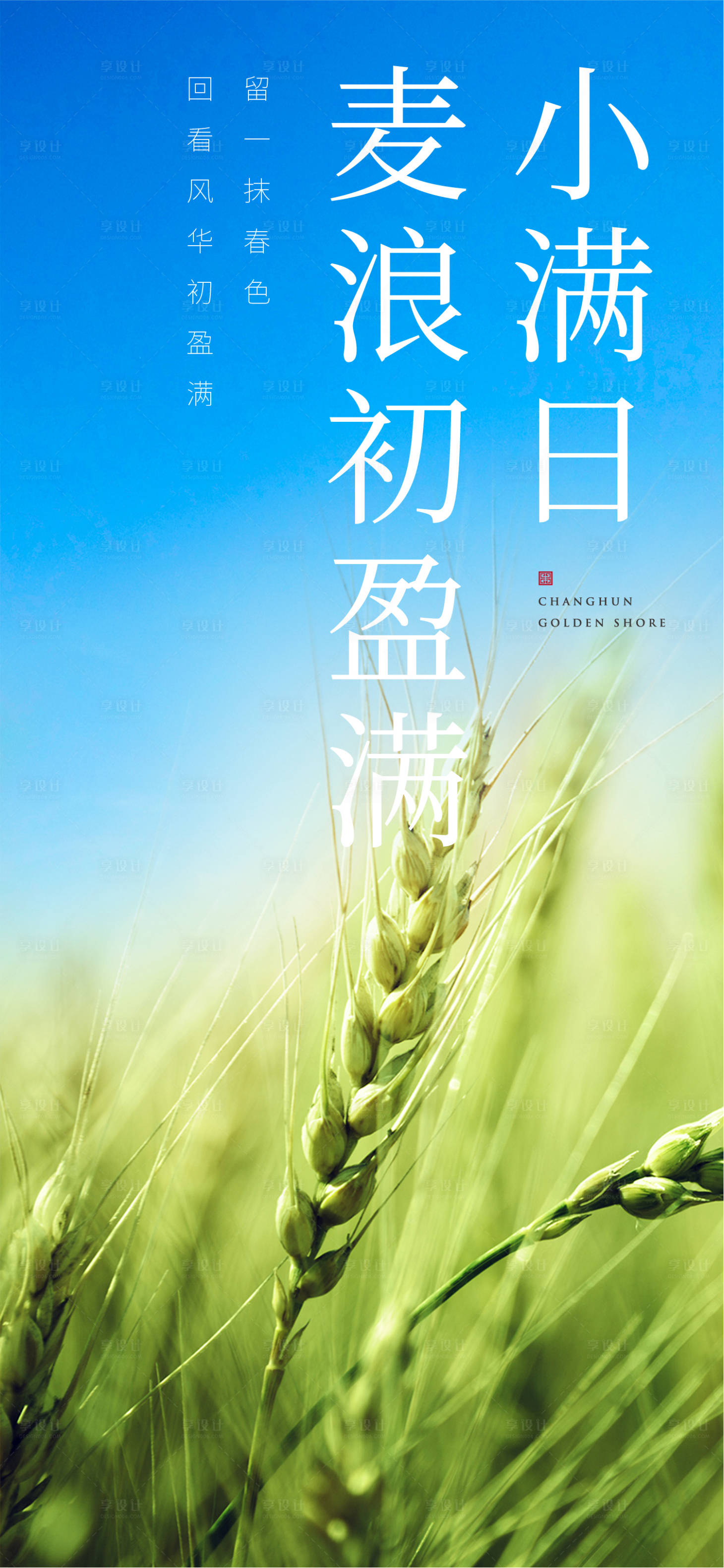 源文件下载【小满节气移动端海报】编号：57940001072094989