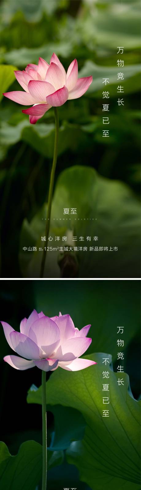 源文件下载【享设计】搜索编号：17800001058184509【地产夏至节气移动端海报系列】