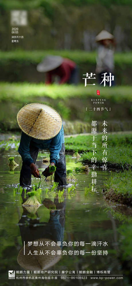 源文件下载【享设计】搜索编号：80350001054764233【芒种节气移动端海报】