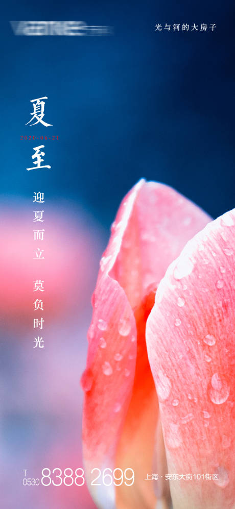 源文件下載【享設計】搜索編號：65160001165995412【地產夏至節氣海報】