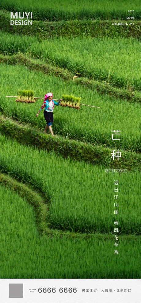 源文件下载【享设计】搜索编号：98730001038787383【芒种二十四节气海报】