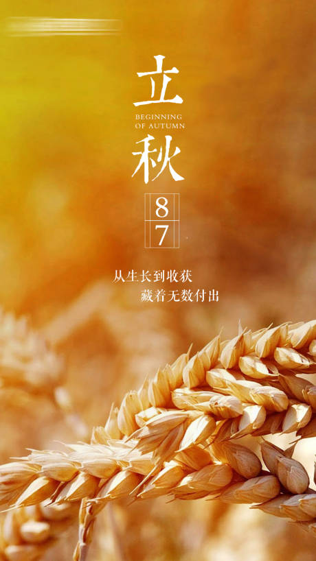 源文件下载【立秋节气海报】编号：95950001518838457