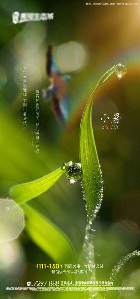 源文件下载【小暑节气海报】编号：34750001393268197