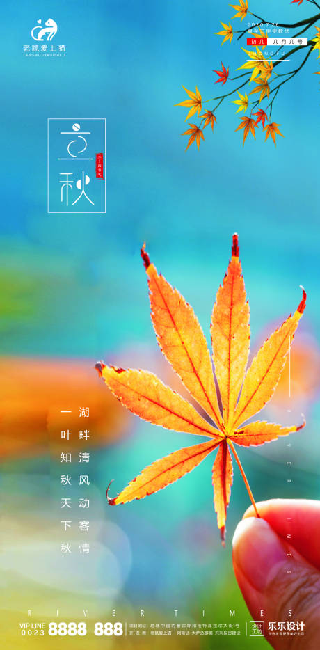 清新立秋节气宣传海报