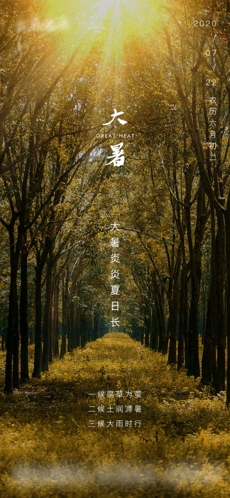 源文件下载【大暑节气海报】编号：29630001401435329